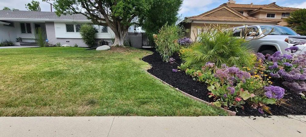 Trusted residential landscaping experts serving Richmond, CA - All Yard Clean Up Service