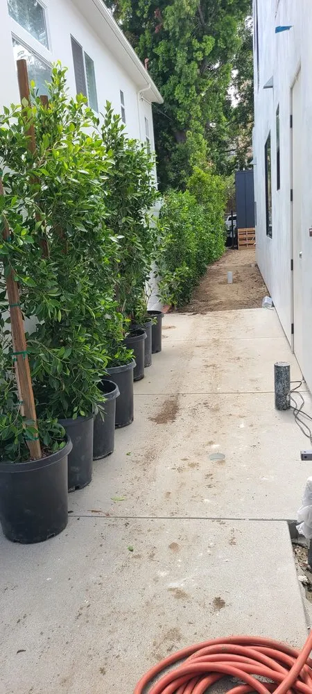 Local landscape installation for beautiful yards in Richmond, CA by All Yard Clean Up Service