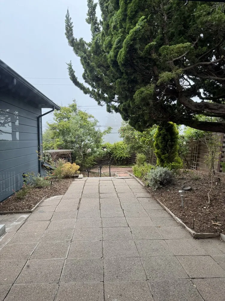 Affordable landscape design experts serving Richmond, CA - All Yard Clean Up Service
