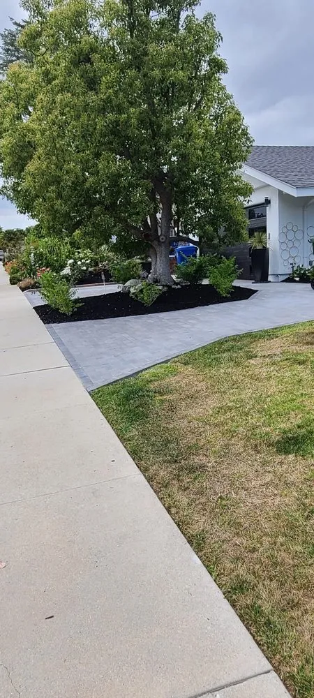 Local lawn care service in Richmond, CA by All Yard Clean Up Service