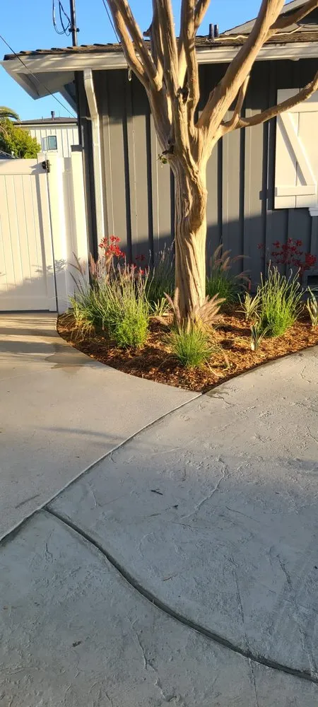 Professional yard maintenance for beautiful yards across Richmond, CA - All Yard Clean Up Service