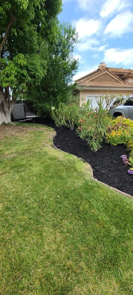 Top-rated lawn mowing service near you across Richmond, CA - All Yard Clean Up Service