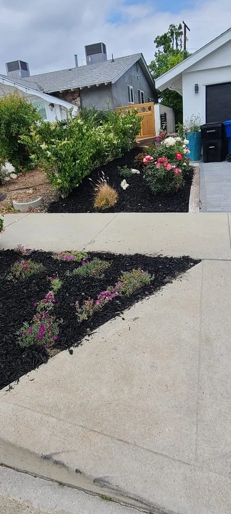 Top-rated lawn mowing service experts serving Richmond, CA - All Yard Clean Up Service