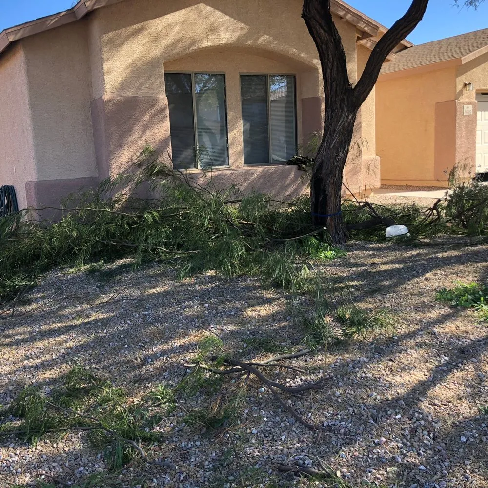 Affordable lawn mowing service for outdoor upgrades in Tucson, AZ by All Yard Work