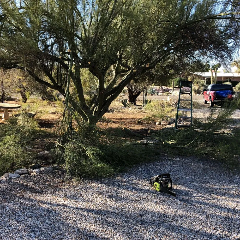 Custom landscaping services with custom design in Tucson, AZ by All Yard Work