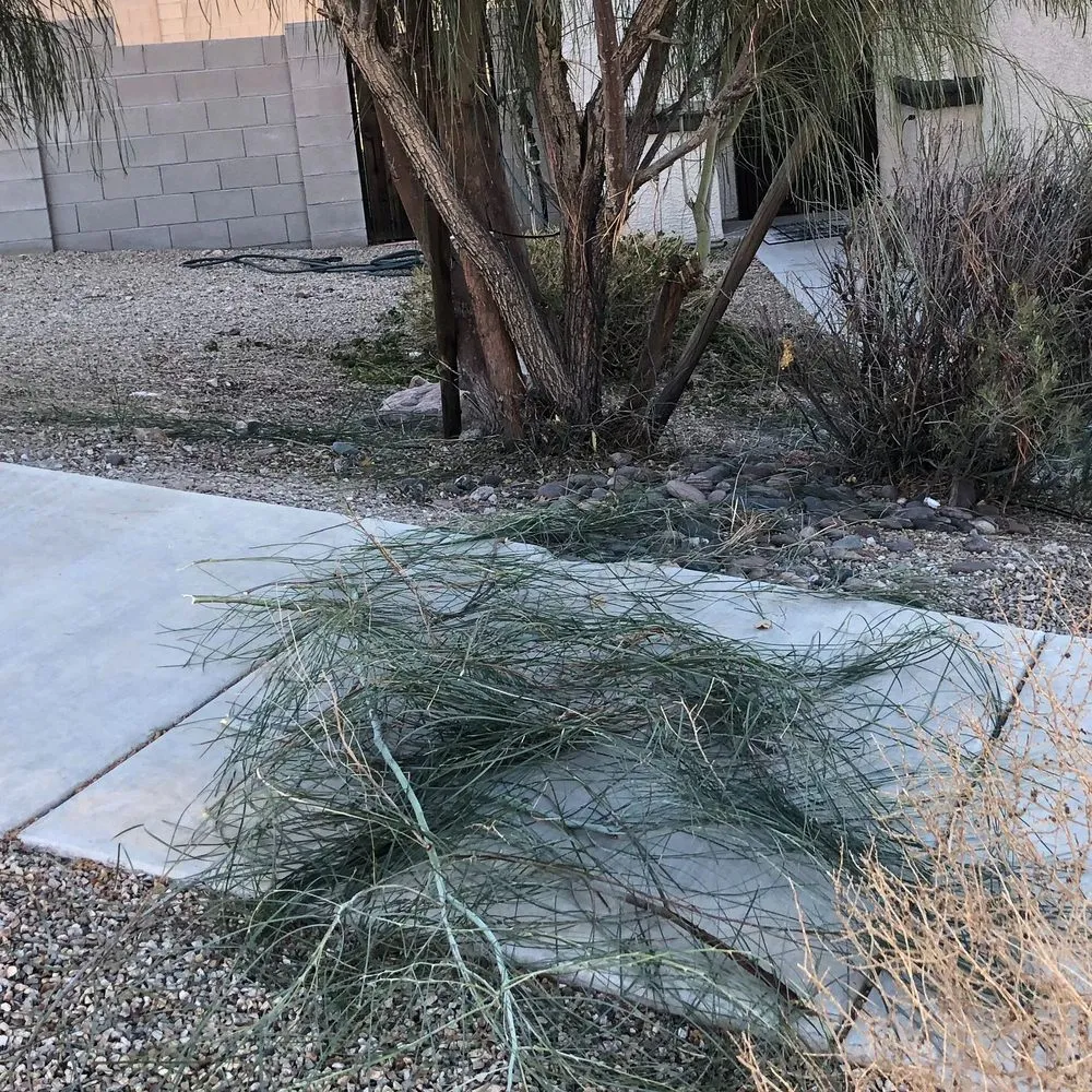 Trusted outdoor landscaping experts serving Tucson, AZ - All Yard Work