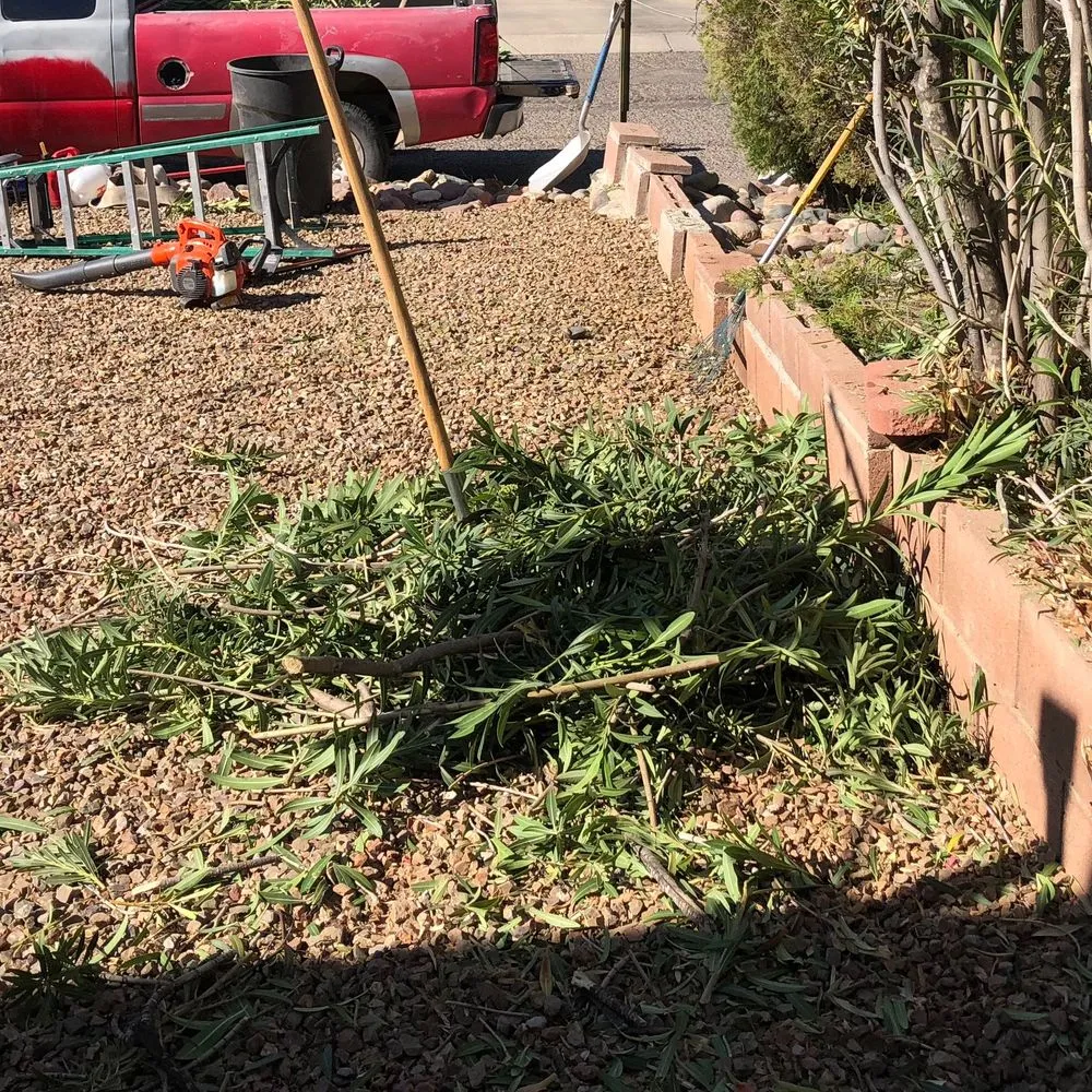 Local lawn care service for residential properties in Tucson, AZ by All Yard Work