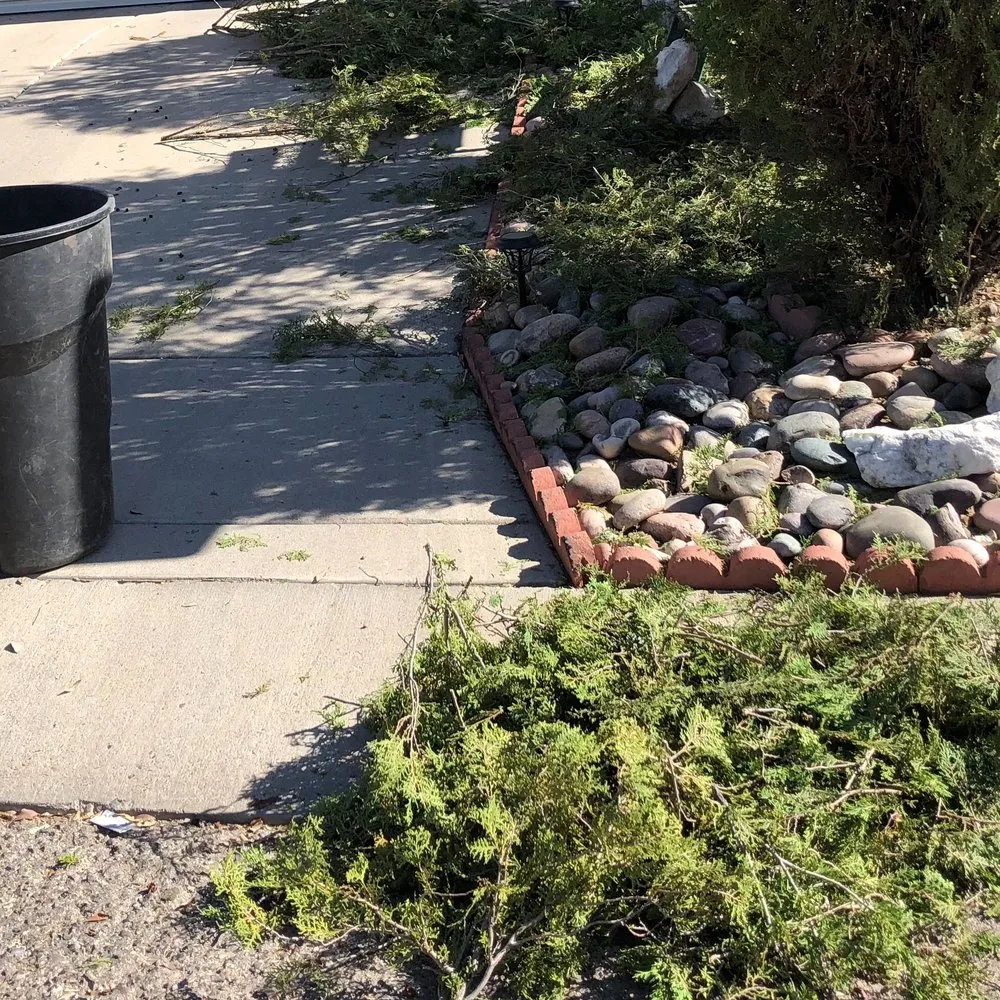 Affordable lawn care service for outdoor upgrades across Tucson, AZ - All Yard Work