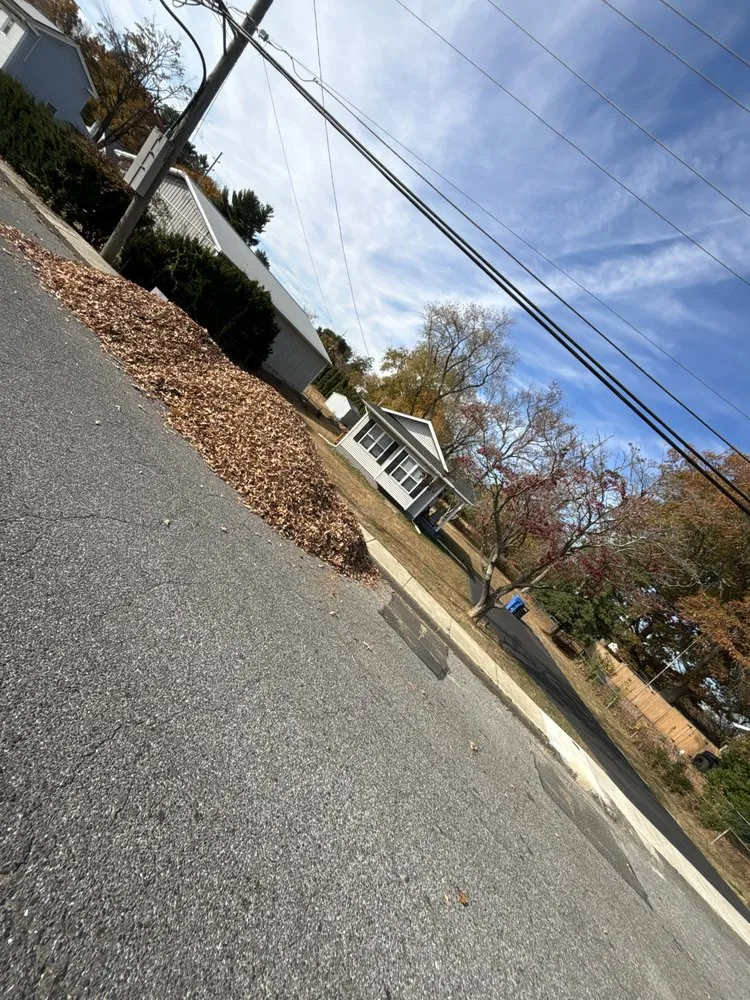 Expert landscape design for beautiful yards across Clayton, NJ - All Year Around Lawn