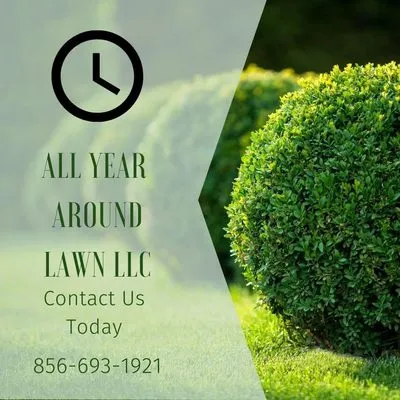 All Year Around Lawn