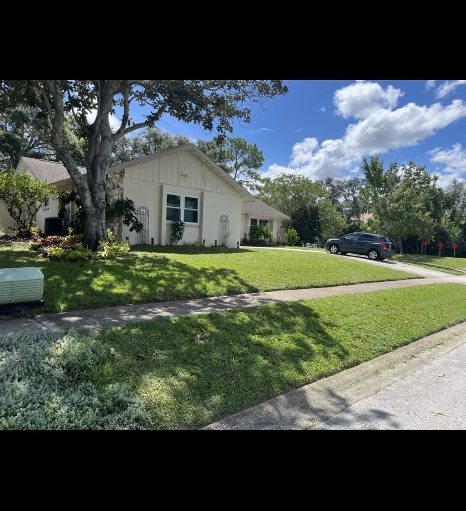 Affordable yard cleanup service experts serving Tampa Bay, FL - All Year Cuts