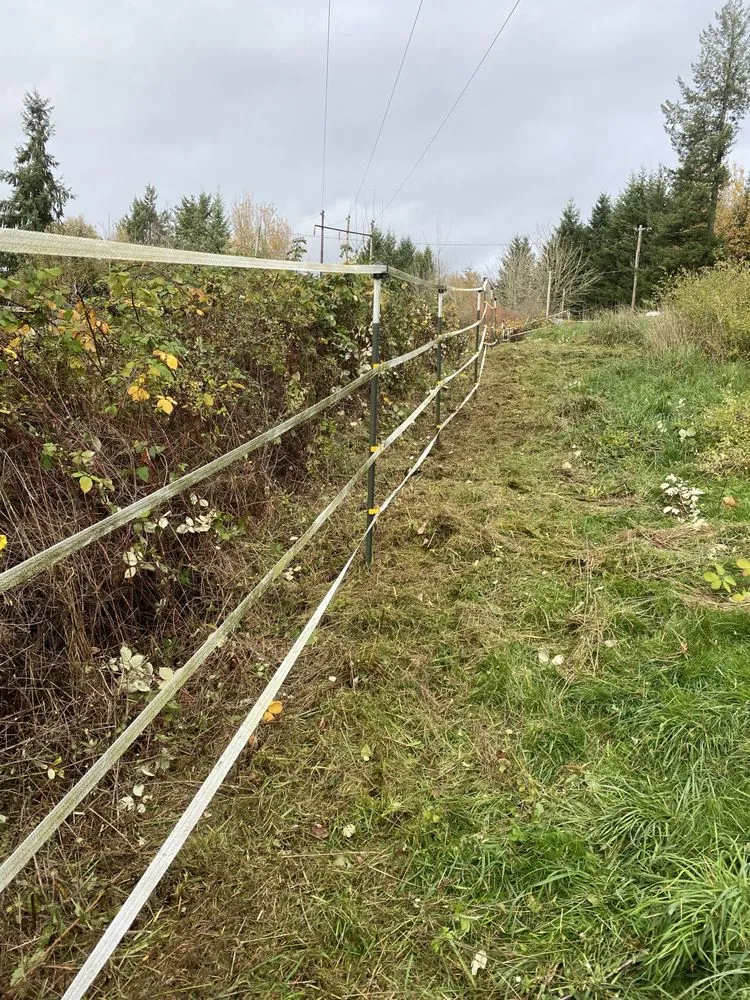 Reliable outdoor landscaping for residential properties in Kelso, WA by All Year Land Care and More