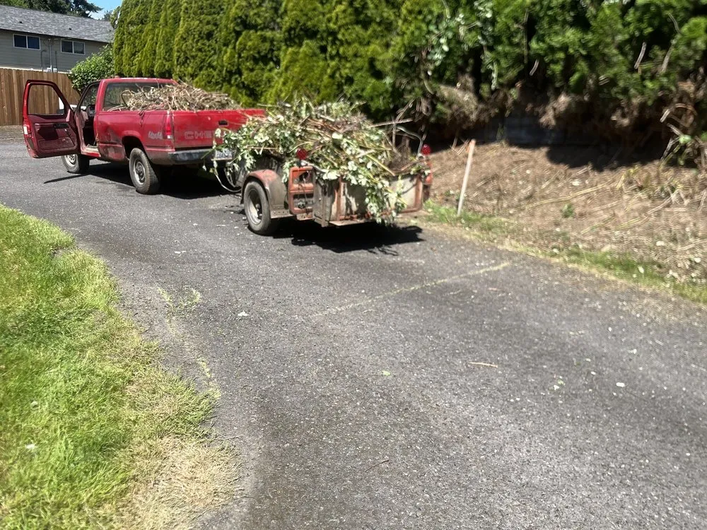 Professional yard maintenance experts serving Kelso, WA - All Year Land Care and More