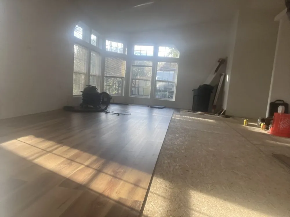 Top-rated yard cleanup service experts serving Kelso, WA - All Year Land Care and More