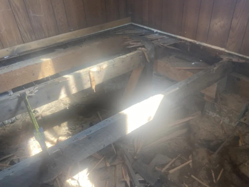 Affordable yard maintenance with custom design across Kelso, WA - All Year Land Care and More