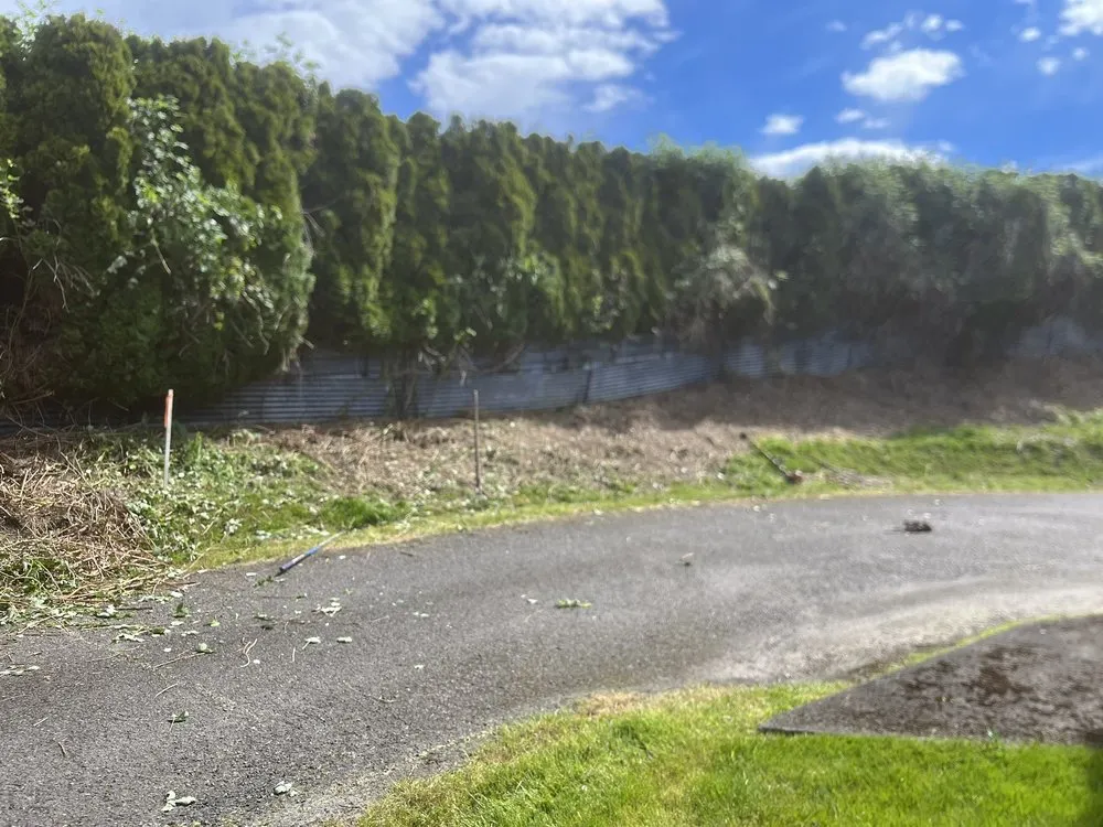 Custom yard cleanup service experts serving Kelso, WA - All Year Land Care and More