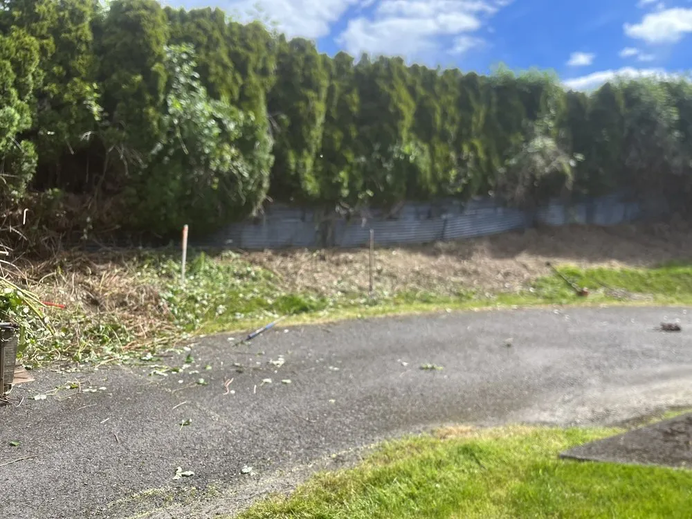 Reliable landscape installation for beautiful yards across Kelso, WA - All Year Land Care and More