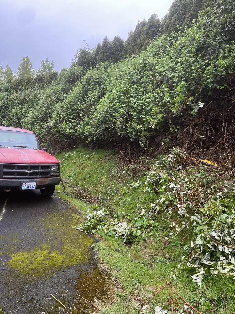 Expert outdoor landscaping in Kelso, WA by All Year Land Care and More