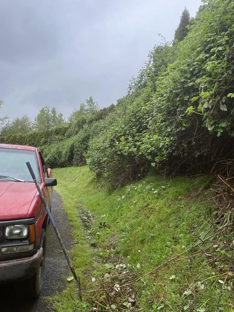 Top-rated landscape design with custom design across Kelso, WA - All Year Land Care and More