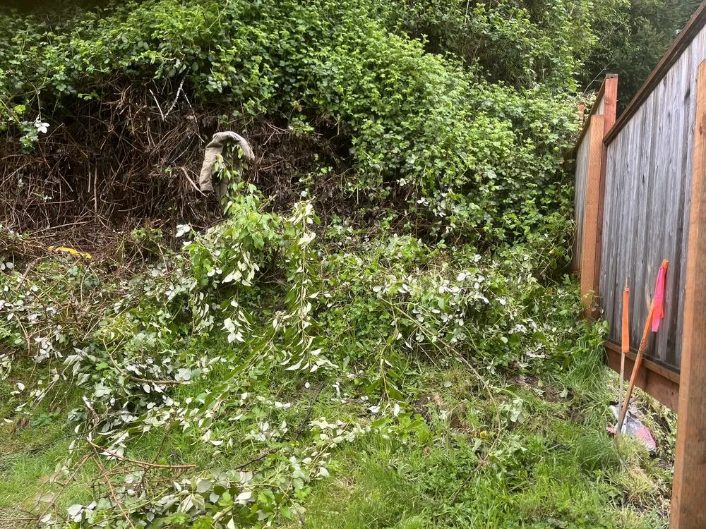 Local yard maintenance for homes in Kelso, WA by All Year Land Care and More