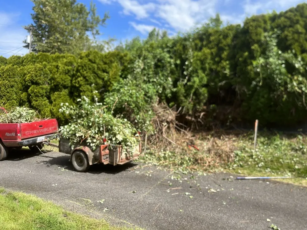 Custom lawn care service in Kelso, WA - All Year Land Care and More