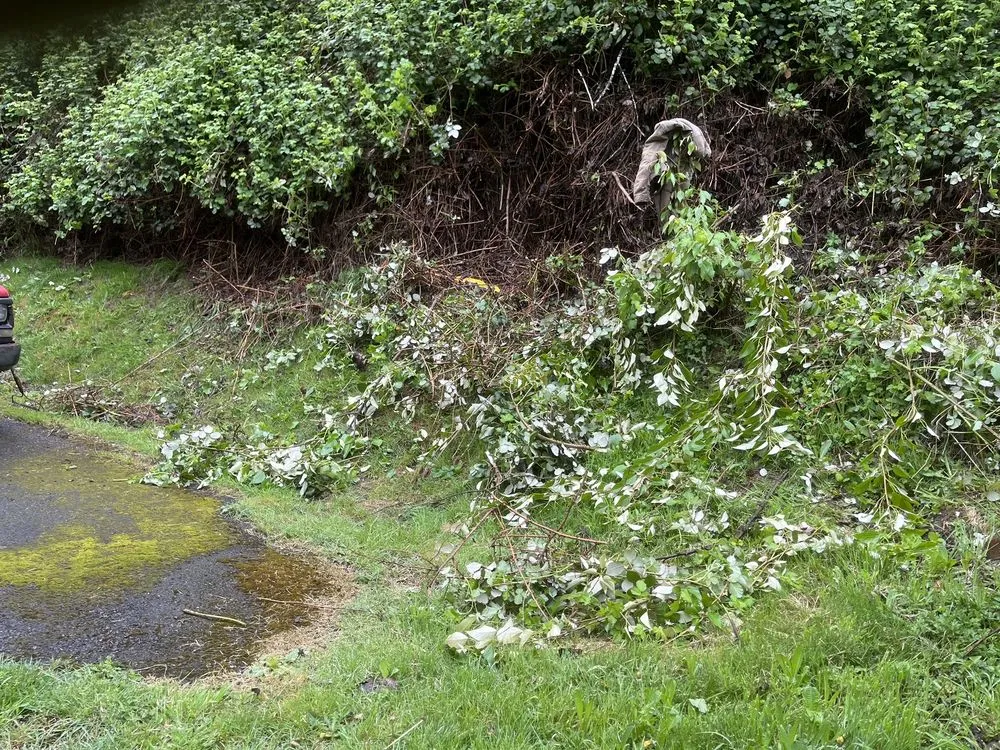 Affordable yard maintenance in Kelso, WA by All Year Land Care and More