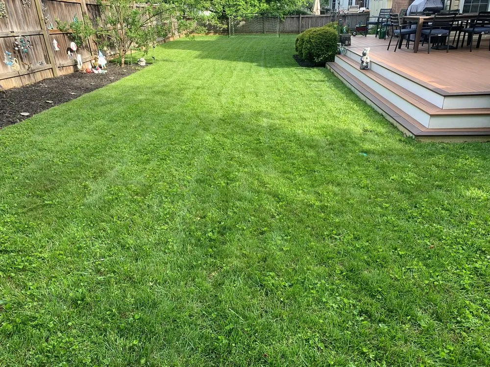 Local lawn care service in Silver Spring, MD by All Year Land Care
