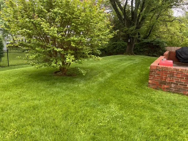 Top-rated garden landscaping experts serving Silver Spring, MD - All Year Land Care