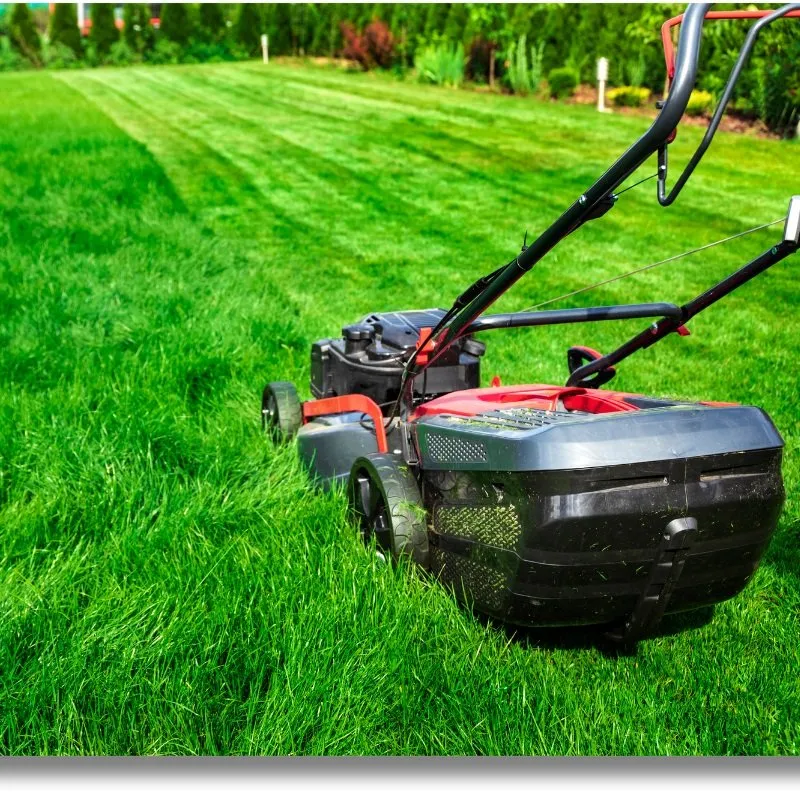 Custom outdoor landscaping experts serving Silver Spring, MD - All Year Land Care