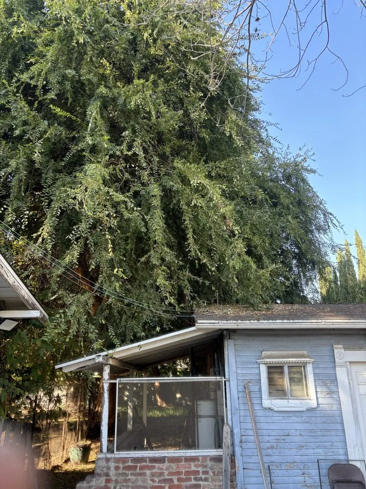 Reliable landscape installation near you across Hacienda Heights, CA - All Year Landscaping Services