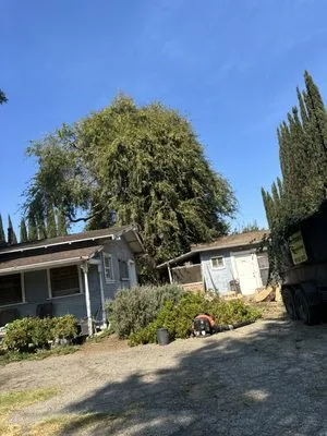 All Year Landscaping Services