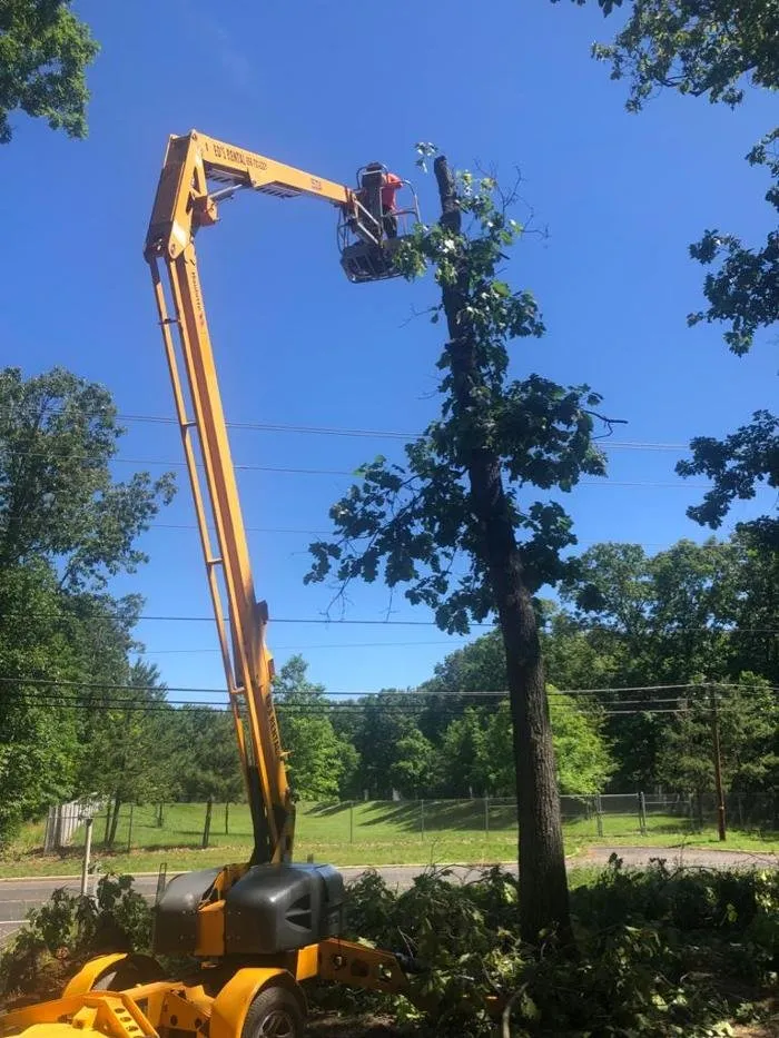 Custom lawn mowing service for beautiful yards across Vineland, NJ - All Year Landscaping