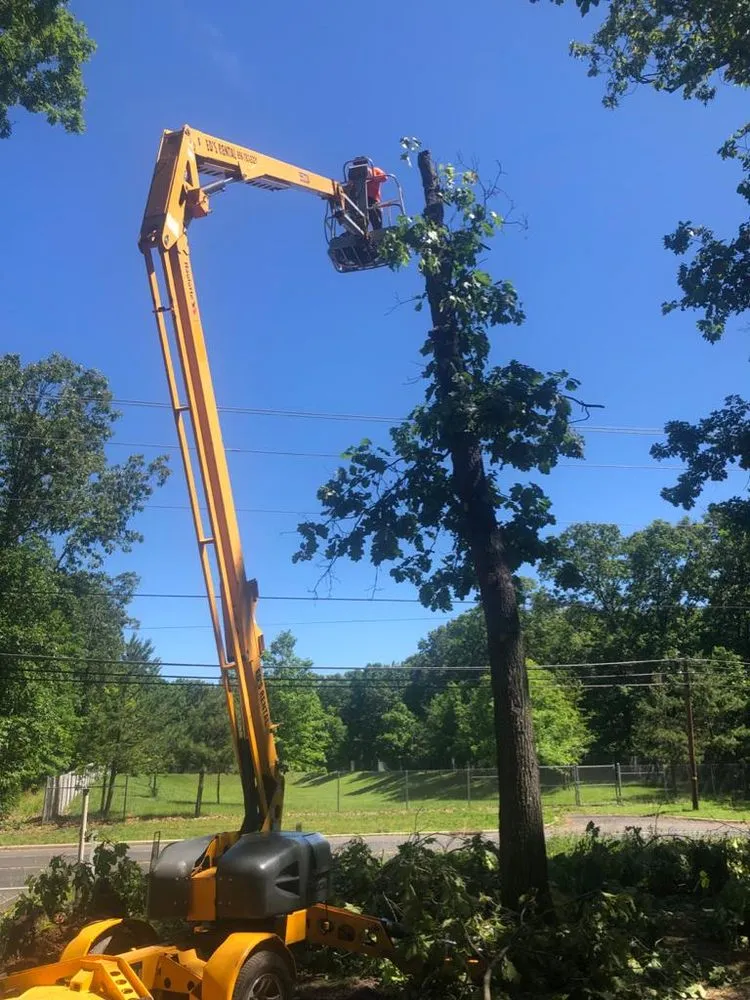 Expert yard maintenance in Vineland, NJ by All Year Landscaping