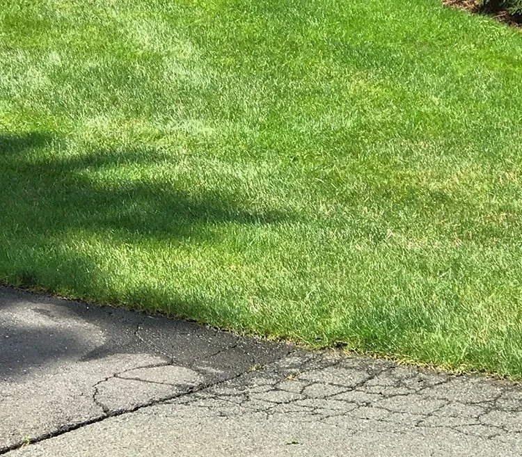 Reliable landscaping services with custom design in Beacon Falls, CT by All Year Lawn