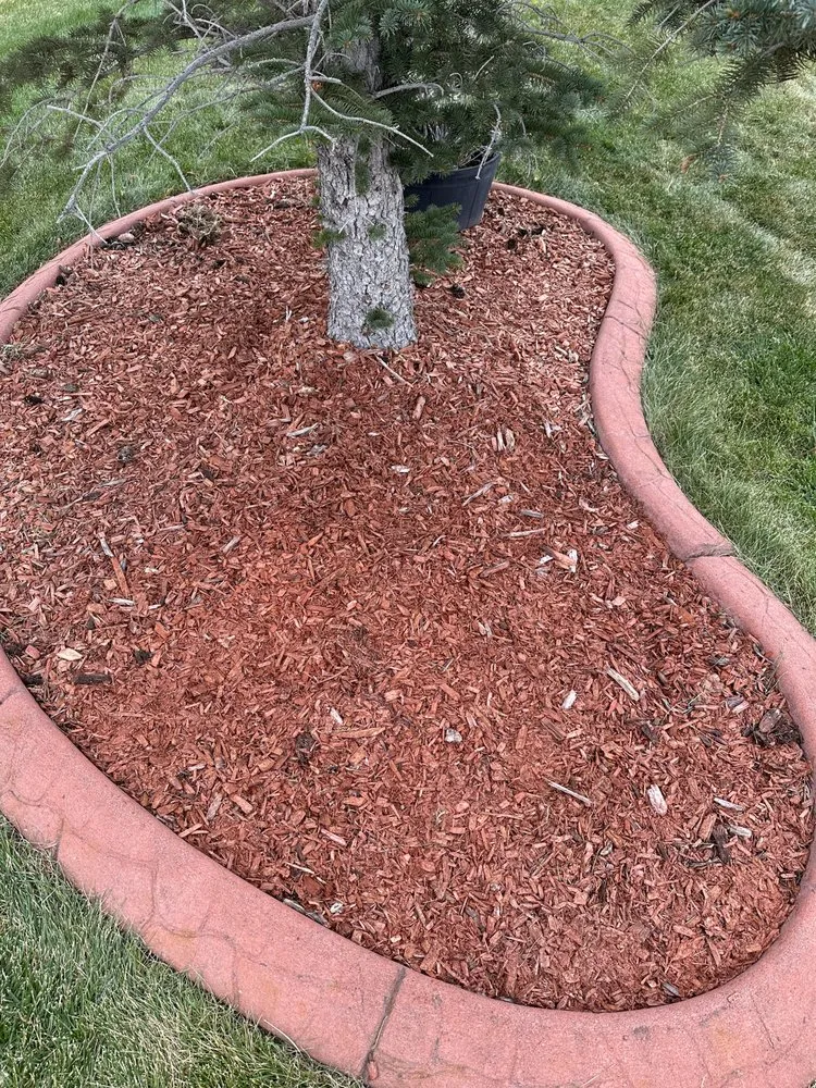 Expert landscape installation in Aurora, CO by All Year Lawn Clear