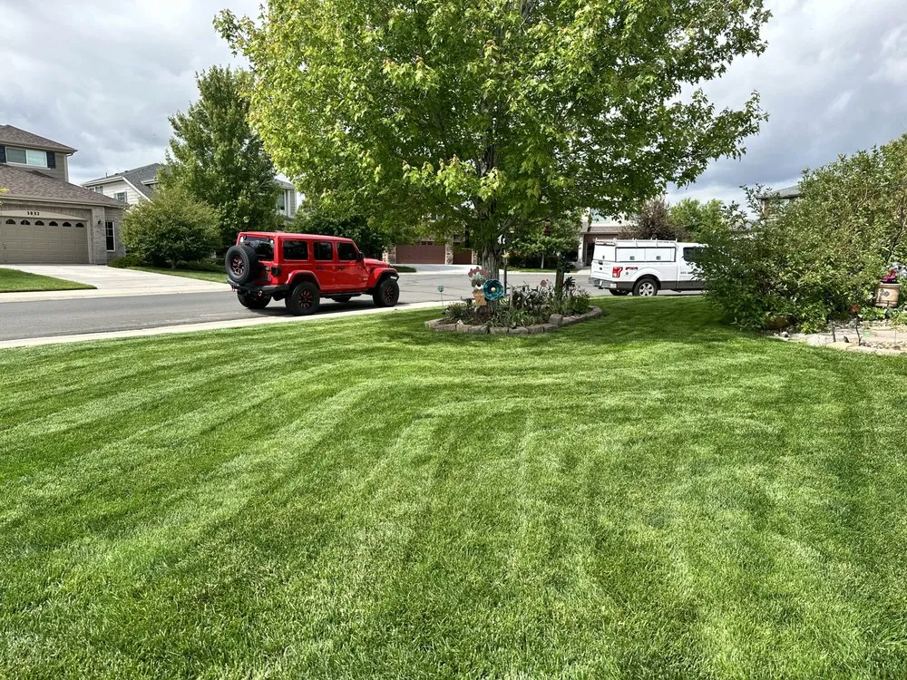 Custom landscape design near you in Aurora, CO by All Year Lawn Clear