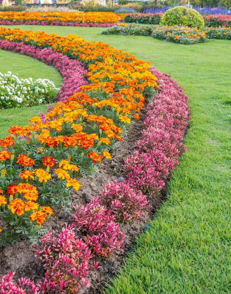 Reliable landscape design in Aurora, CO - All Year Lawn Clear