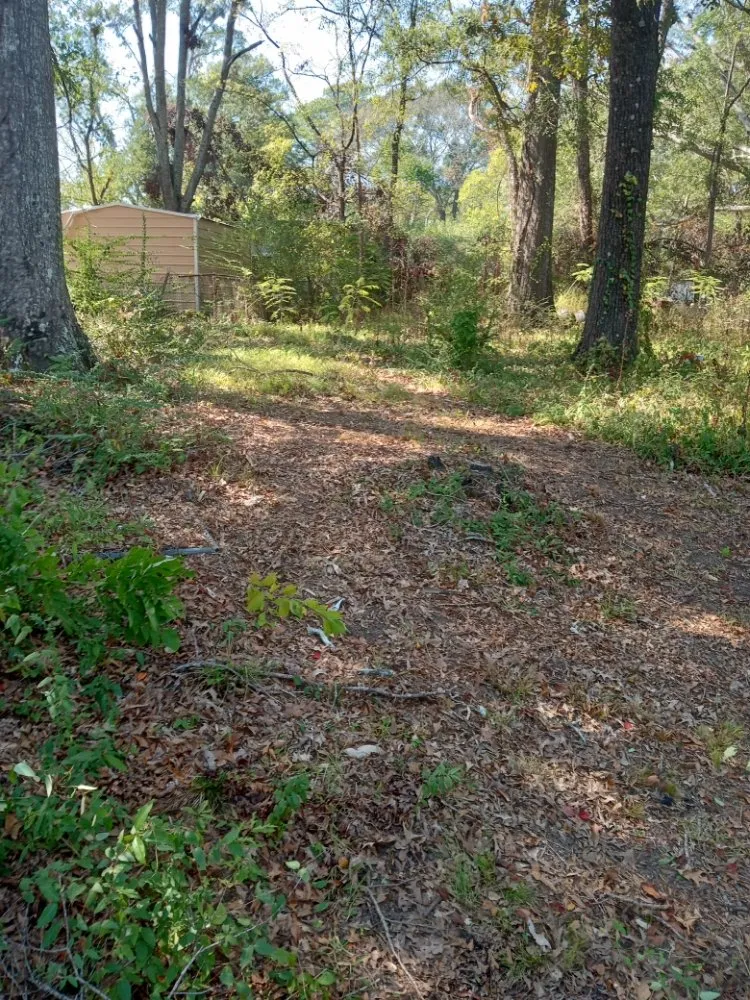 Affordable landscape installation for outdoor upgrades in Jackson, MS by All Year Lawn Service