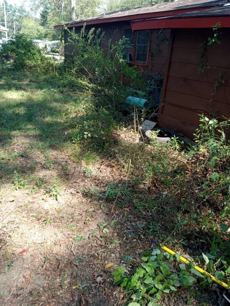 Local residential landscaping for homes in Jackson, MS by All Year Lawn Service