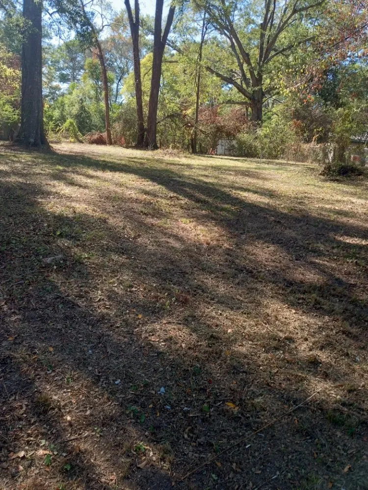 Local outdoor landscaping experts serving Jackson, MS - All Year Lawn Service