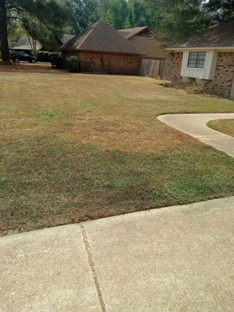 Professional lawn care service experts serving Jackson, MS - All Year Lawn Service