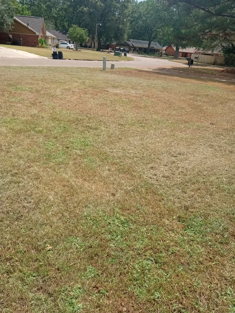 Reliable residential landscaping for homes in Jackson, MS by All Year Lawn Service