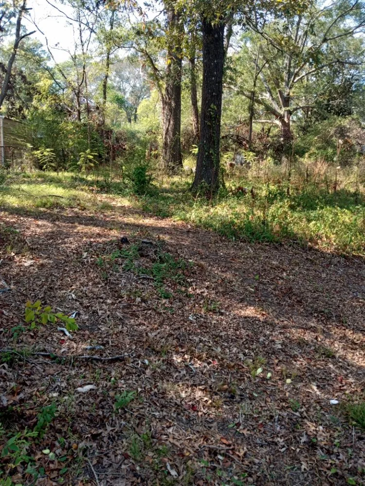 Affordable yard maintenance in Jackson, MS by All Year Lawn Service