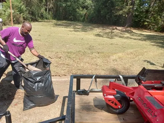 All Year Lawn Service Logo