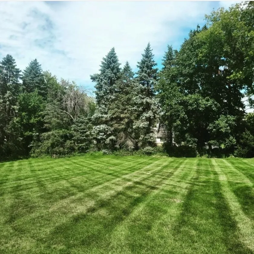 Local residential landscaping experts serving West Allis, WI - All Year Round Landscaping