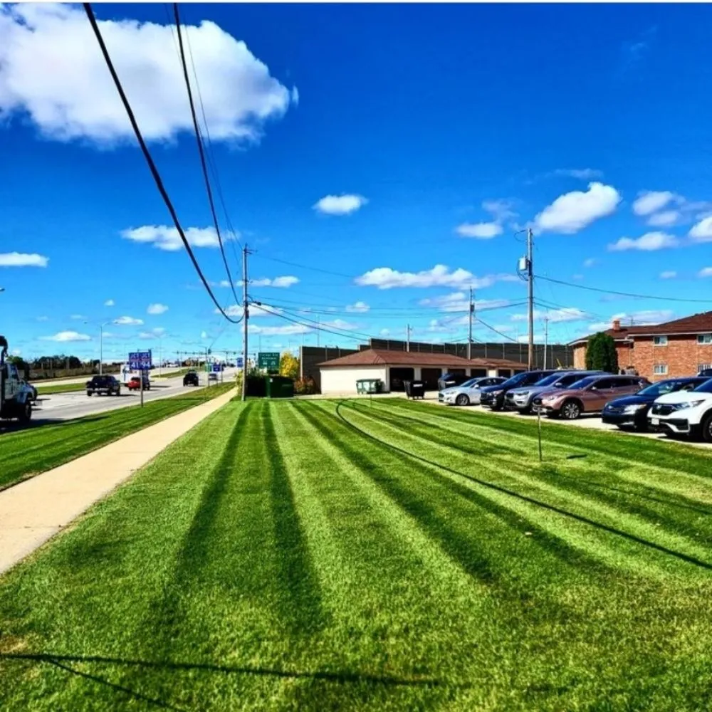 Trusted landscaping services with custom design in West Allis, WI by All Year Round Landscaping