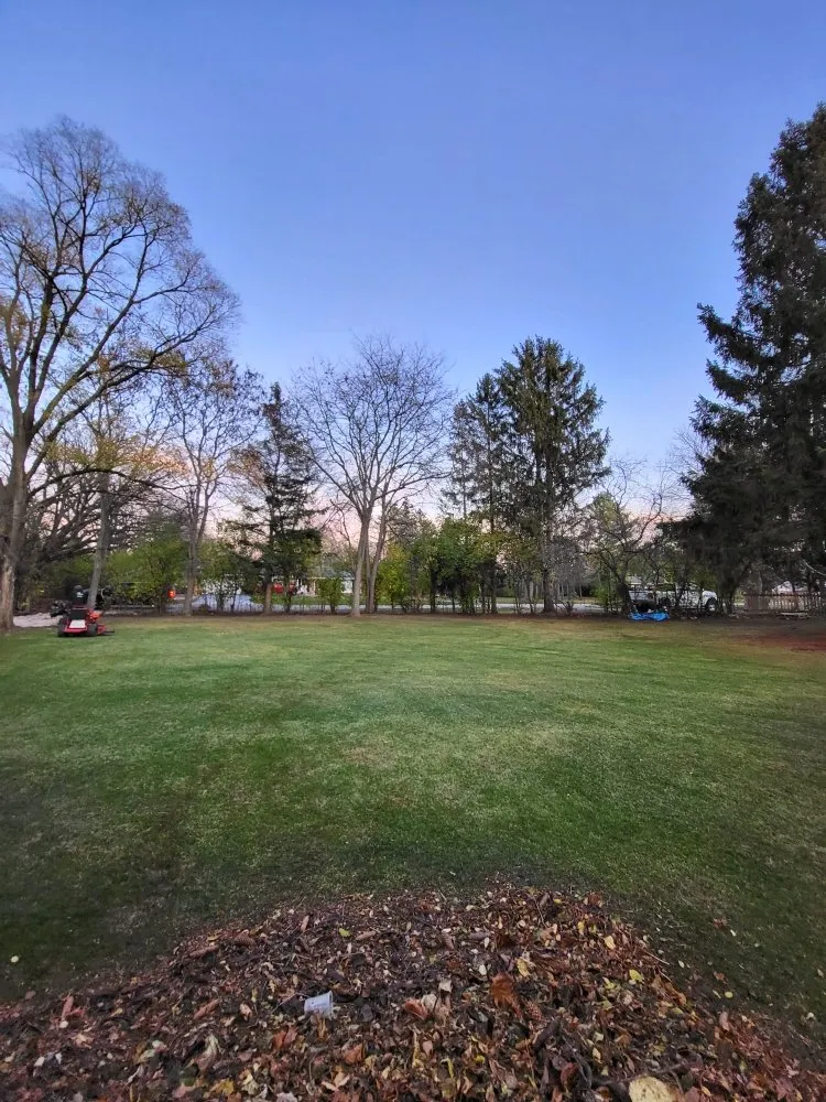 Expert lawn mowing service for outdoor upgrades in West Allis, WI by All Year Round Landscaping