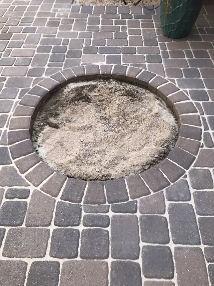 Reliable landscape design for homes across Phoenix, AZ - All Year Round Tree & Landscape Management