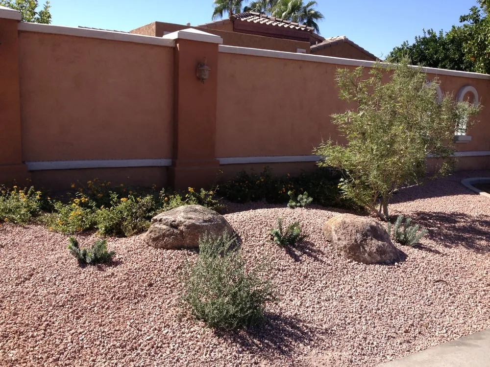 Custom lawn mowing service in Phoenix, AZ - All Year Round Tree & Landscape Management