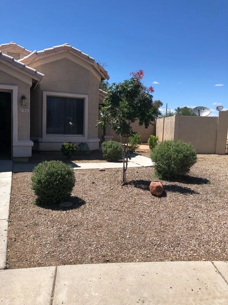 Affordable residential landscaping in Phoenix, AZ - All Year Round Tree & Landscape Management
